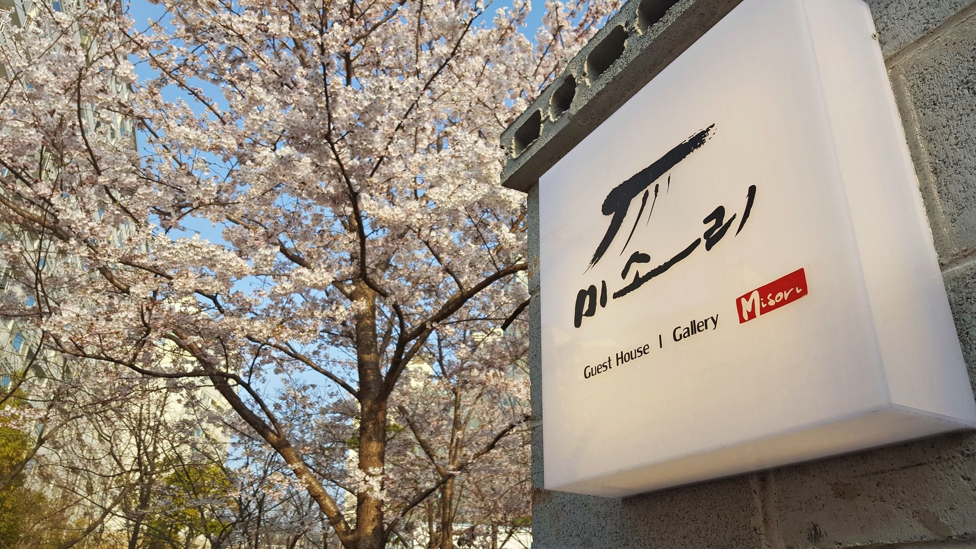 Misori Guesthouse Gwangju Metropolitan City Exterior photo